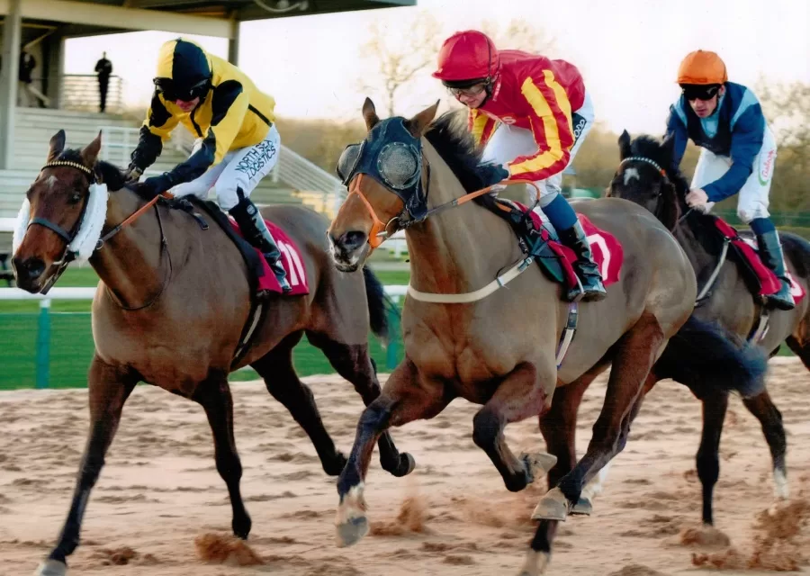 The Firm Wins at Southwell